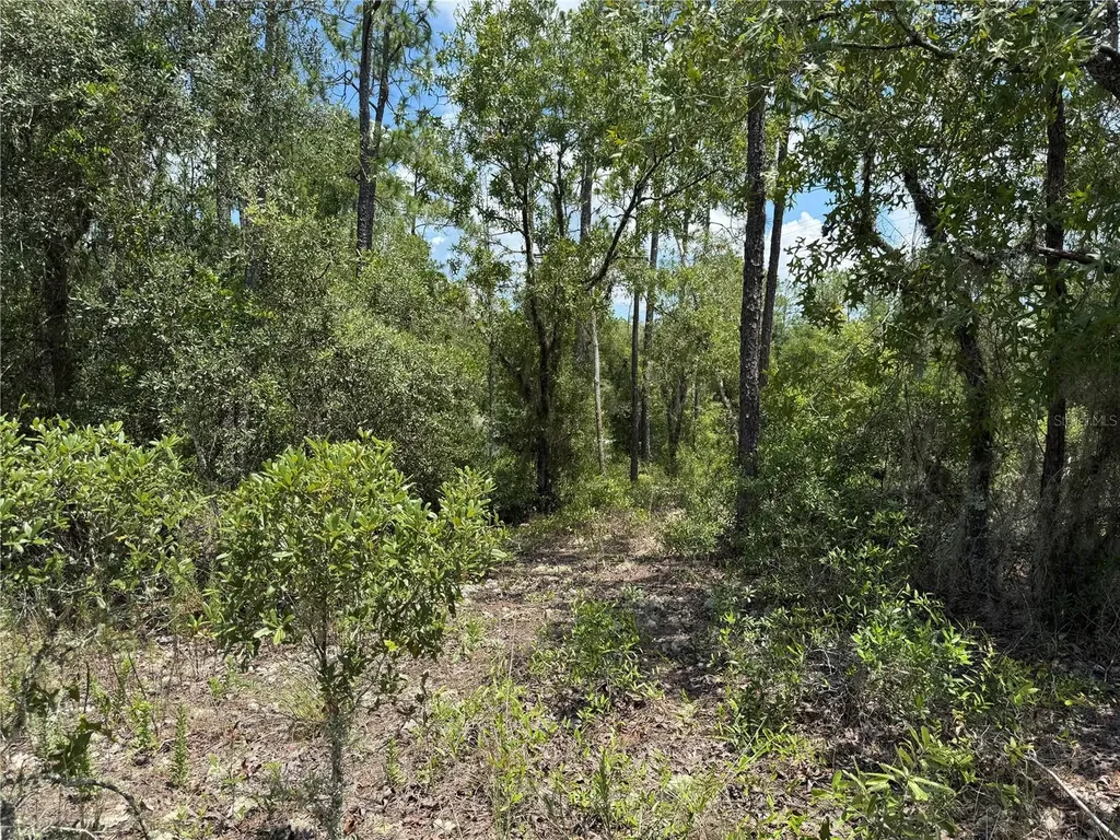00 SW Rainbow Lakes Boulevard Dunnellon FL 34431