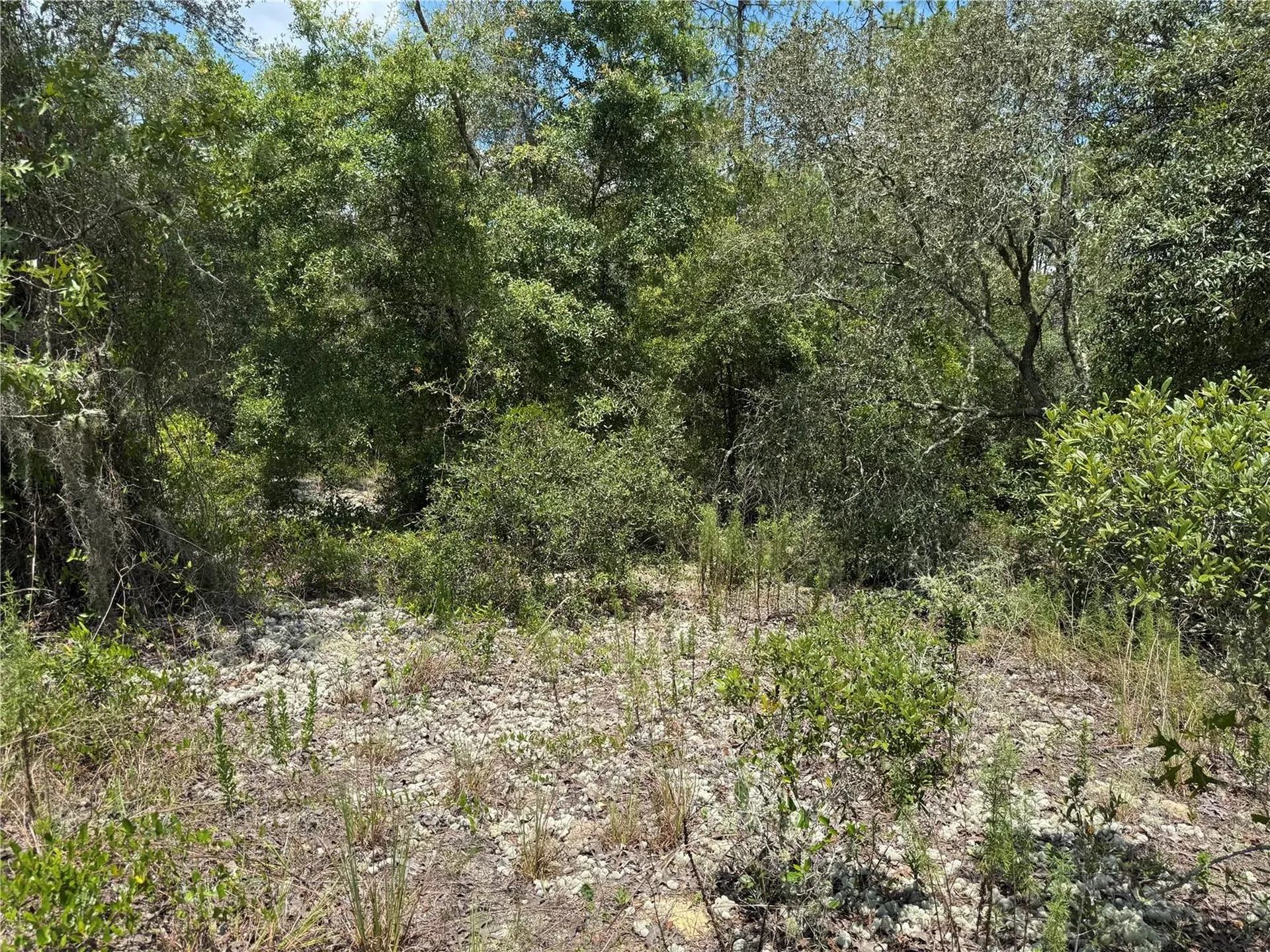 00 SW Rainbow Lakes Boulevard Dunnellon FL 34431