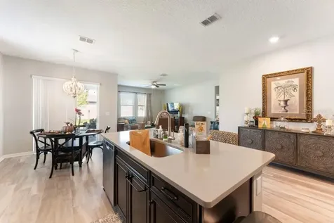 245 Messina Place Howey In The Hills FL 34737