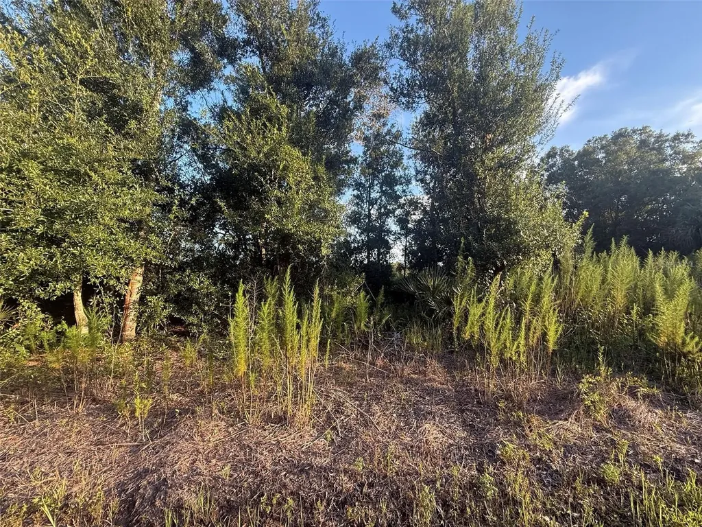 19426 NW 270th Street Okeechobee FL 34972