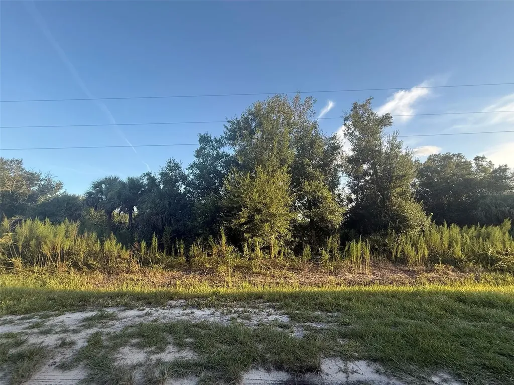 19426 NW 270th Street Okeechobee FL 34972