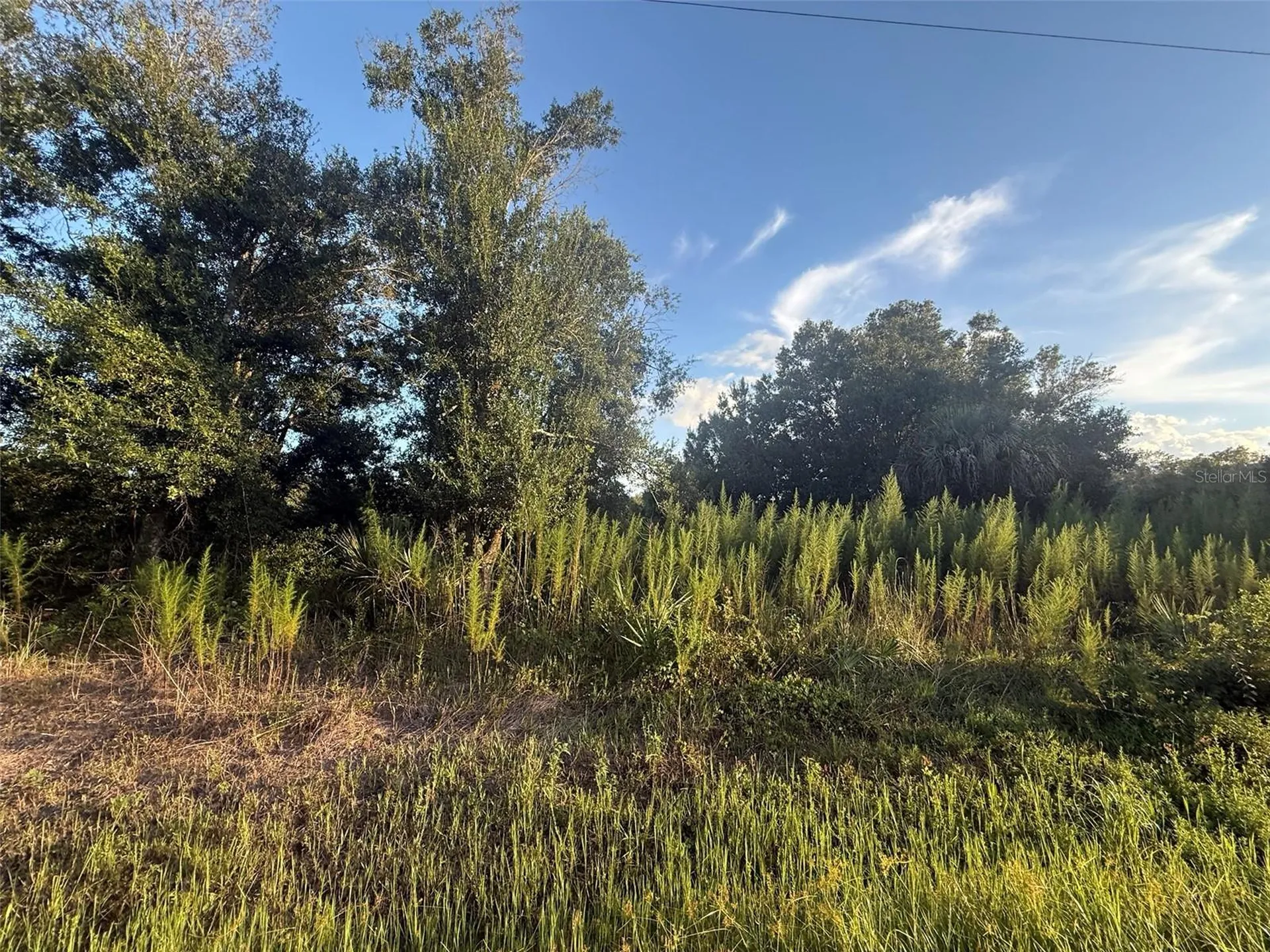 19426 NW 270th Street Okeechobee FL 34972