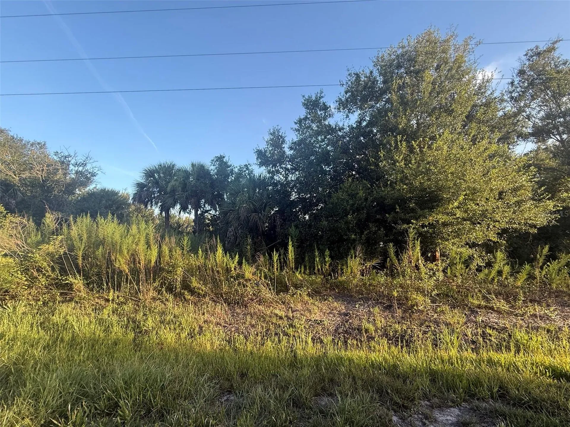 19426 NW 270th Street Okeechobee FL 34972