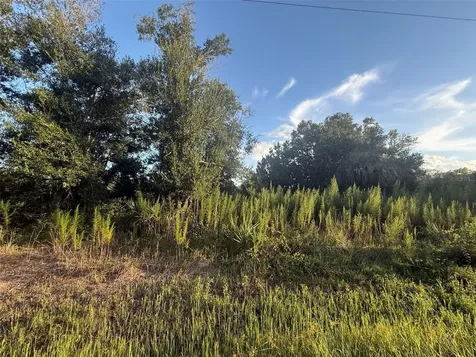 19426 NW 270th Street Okeechobee FL 34972