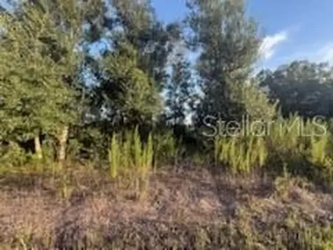 19426 NW 270th Street Okeechobee FL 34972