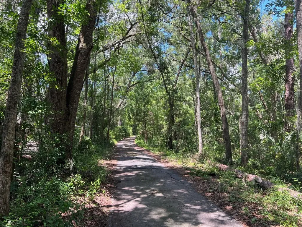 3892 NW 44th Avenue Gainesville FL 32606
