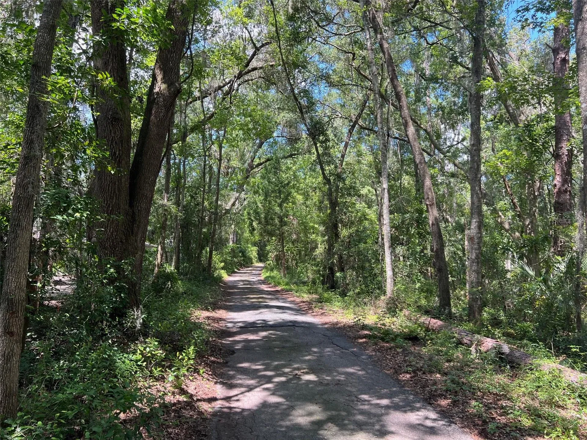 3892 NW 44th Avenue Gainesville FL 32606