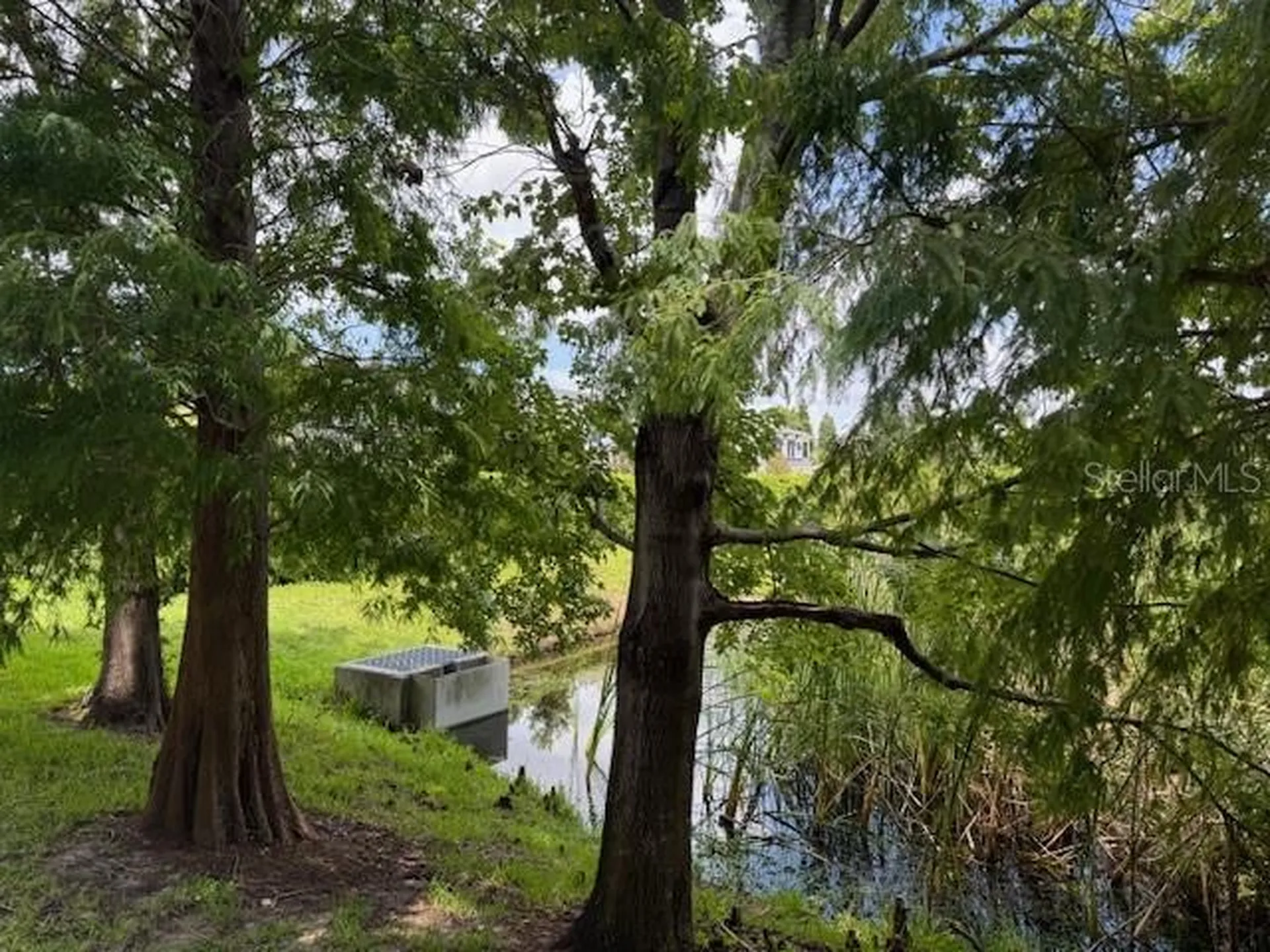 8723 Turnstone Haven Place Tampa FL 33619