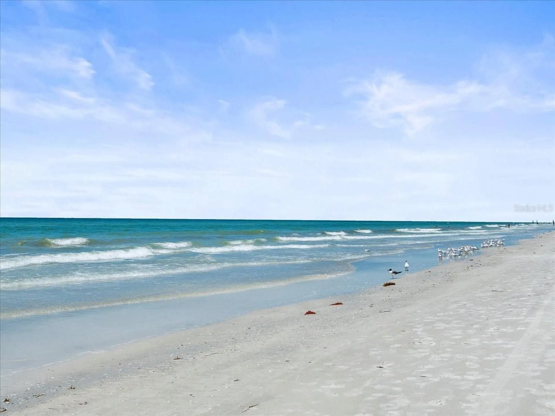 18218 Sunset Boulevard St Petersburg FL 33708