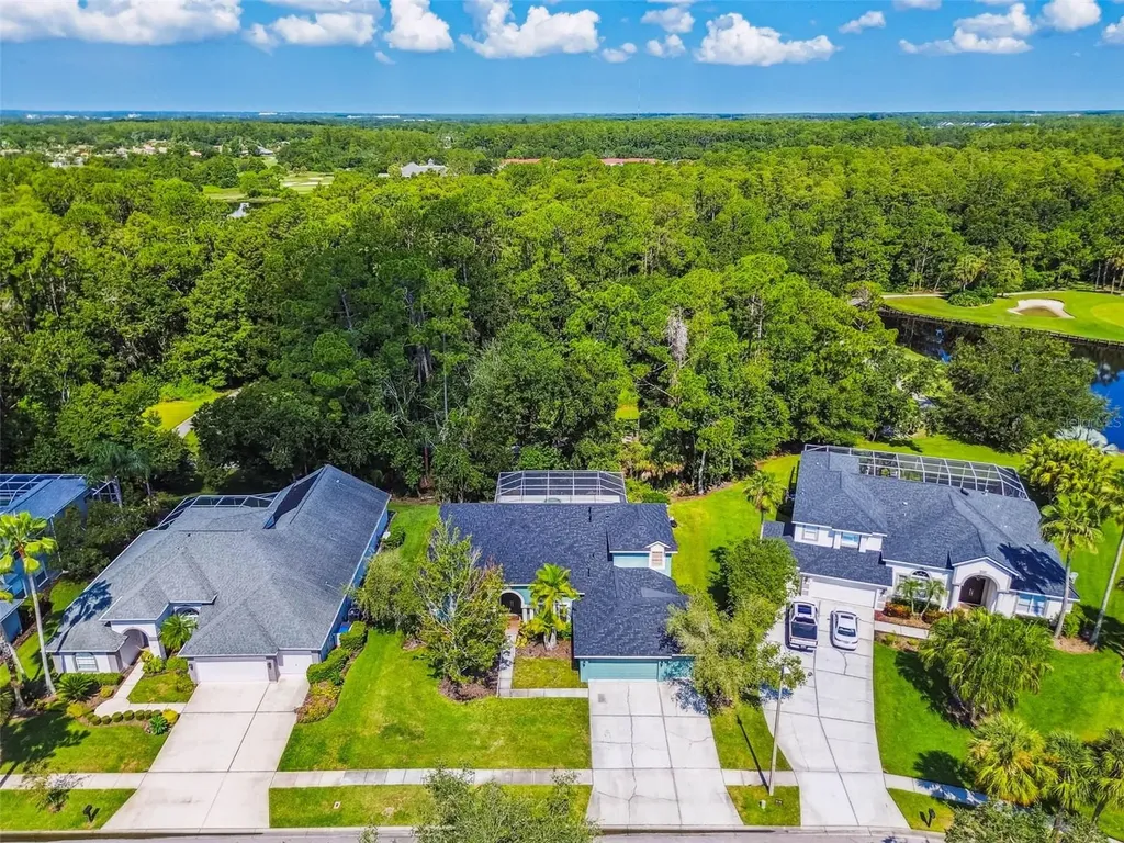 10526 Greencrest Drive Tampa FL 33626