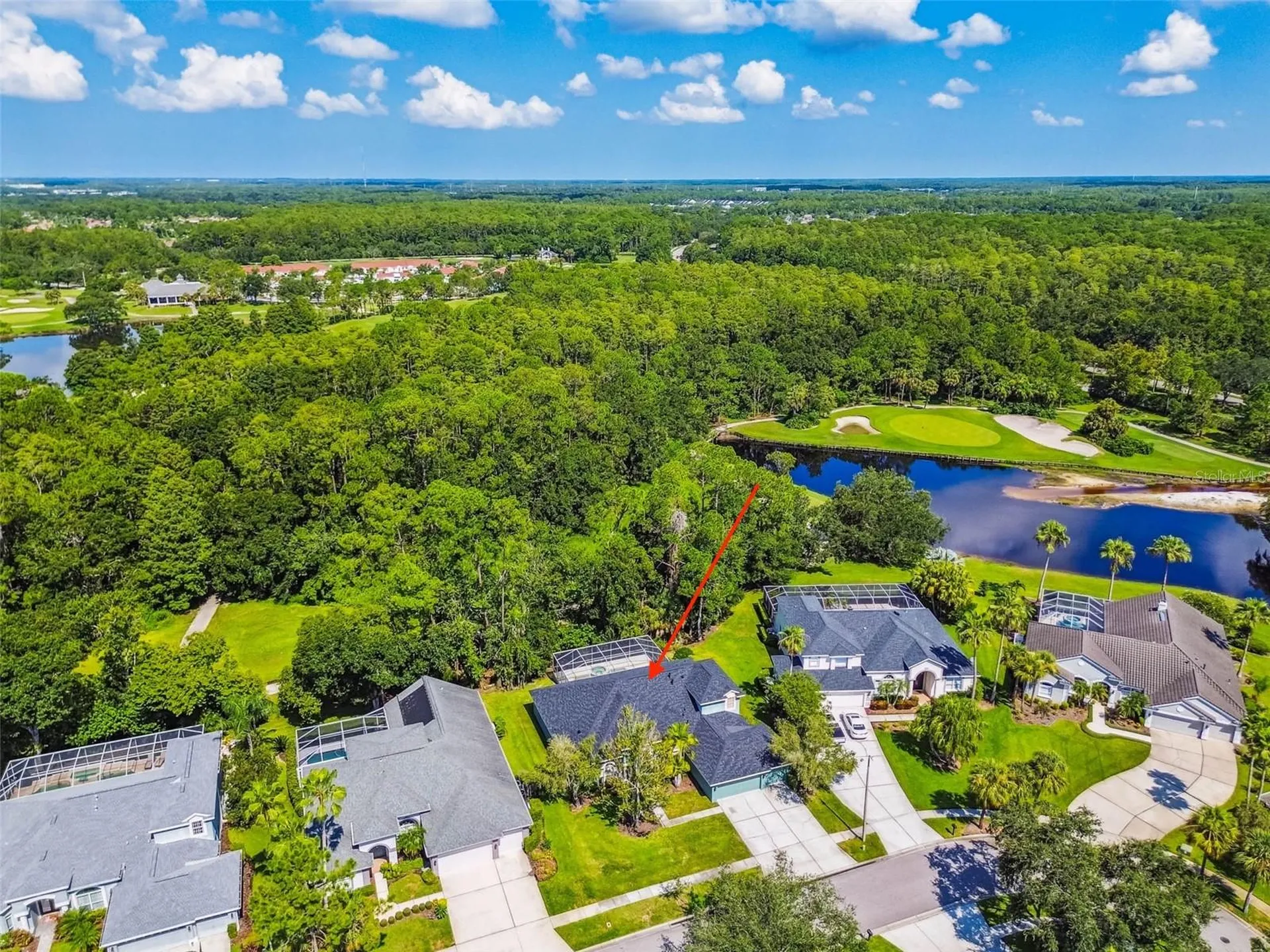 10526 Greencrest Drive Tampa FL 33626