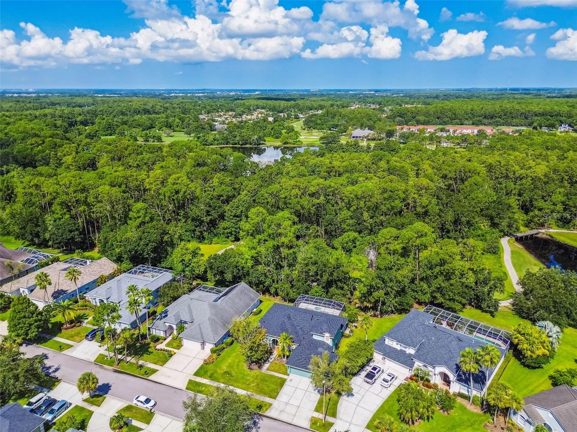 10526 Greencrest Drive Tampa FL 33626