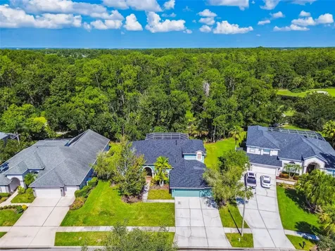 10526 Greencrest Drive Tampa FL 33626