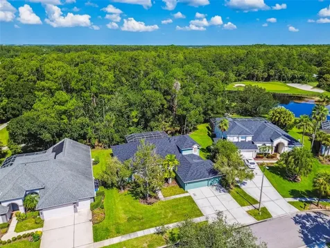 10526 Greencrest Drive Tampa FL 33626