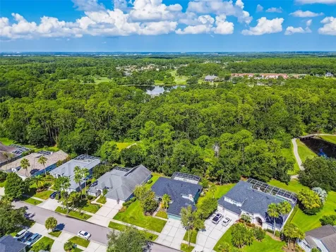 10526 Greencrest Drive Tampa FL 33626