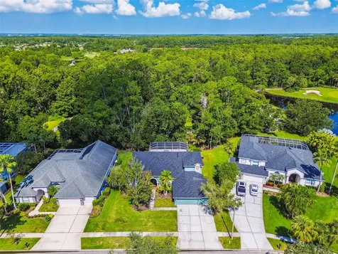 10526 Greencrest Drive Tampa FL 33626