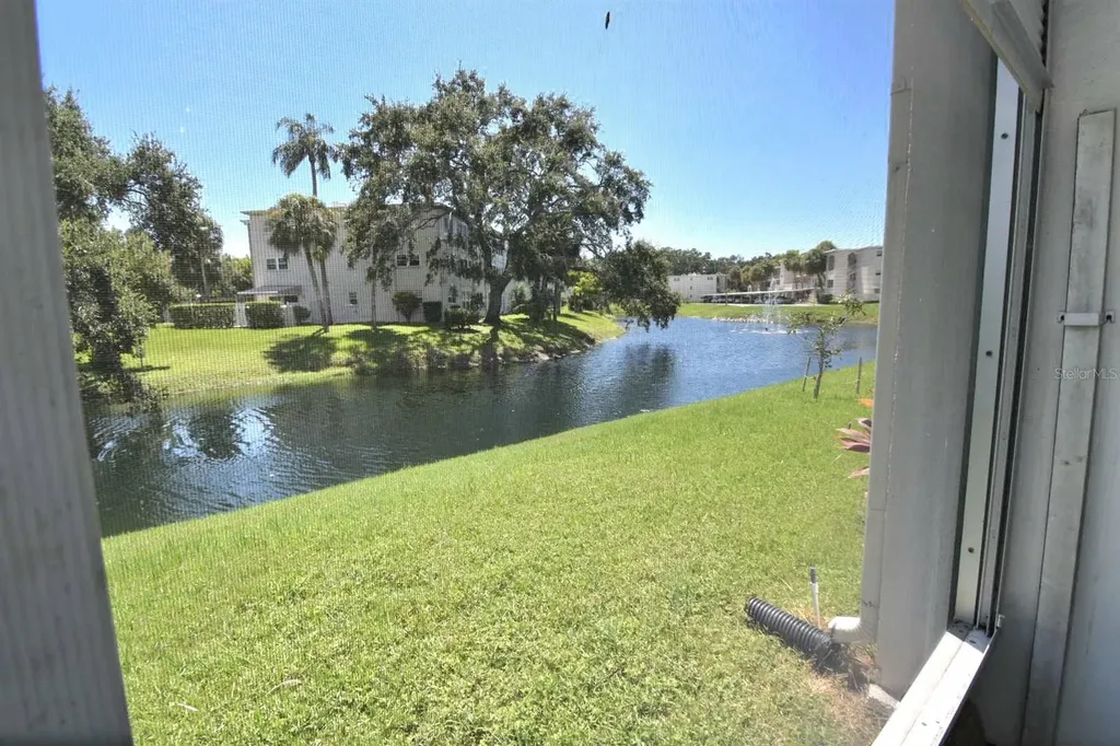 946 Virginia Street Dunedin FL 34698