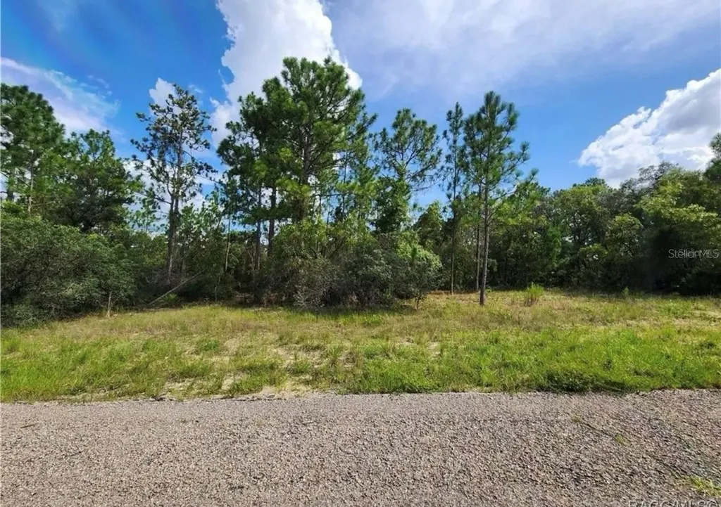 3504 W Seahorse Lane Dunnellon FL 34433