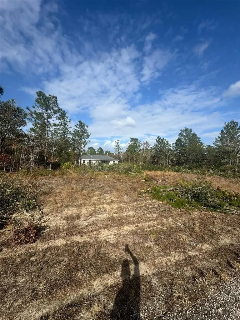 3504 W Seahorse Lane Dunnellon FL 34433