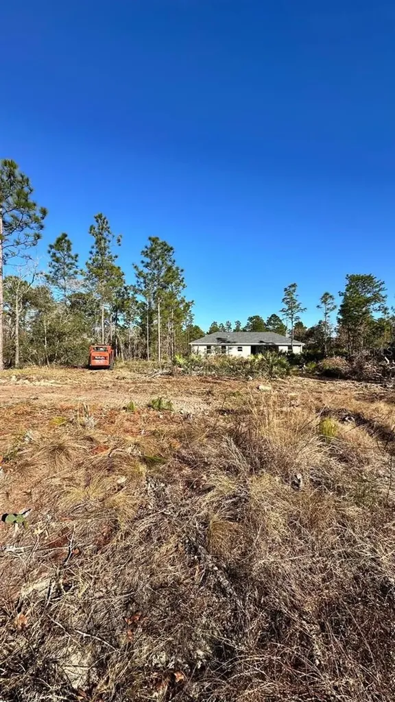 3504 W Seahorse Lane Dunnellon FL 34433
