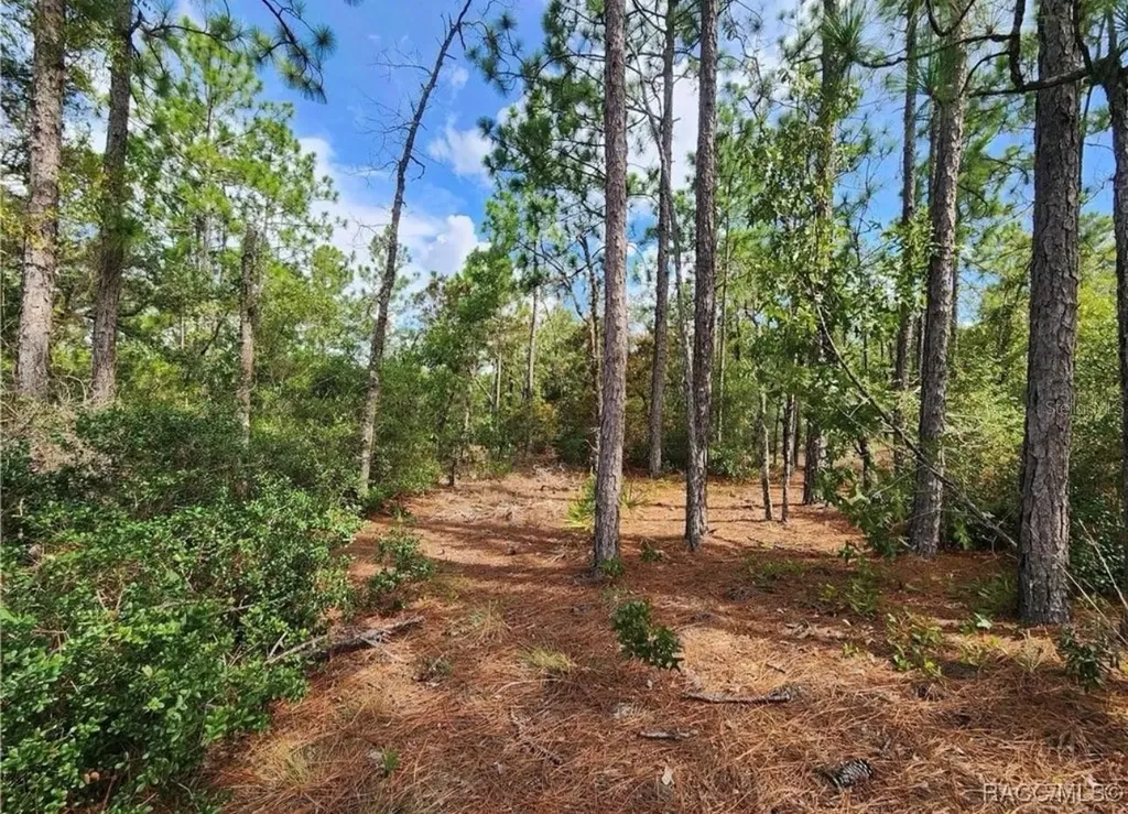 3504 W Seahorse Lane Dunnellon FL 34433