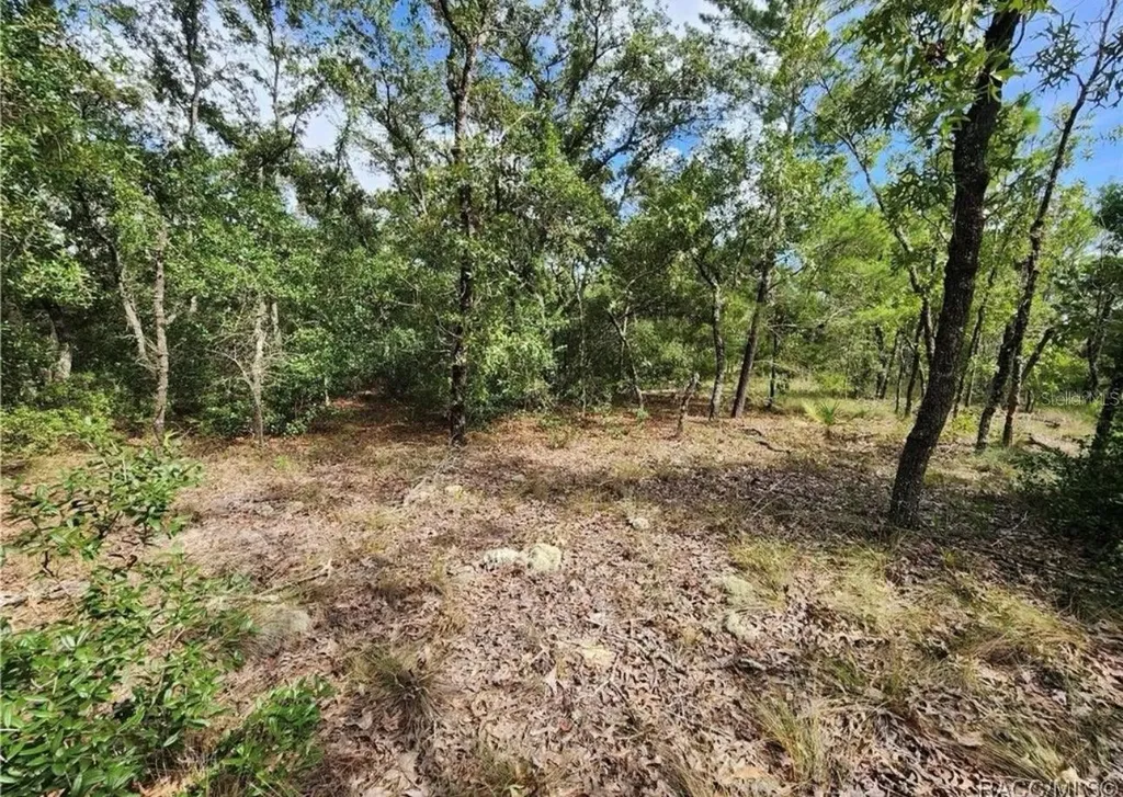 3504 W Seahorse Lane Dunnellon FL 34433