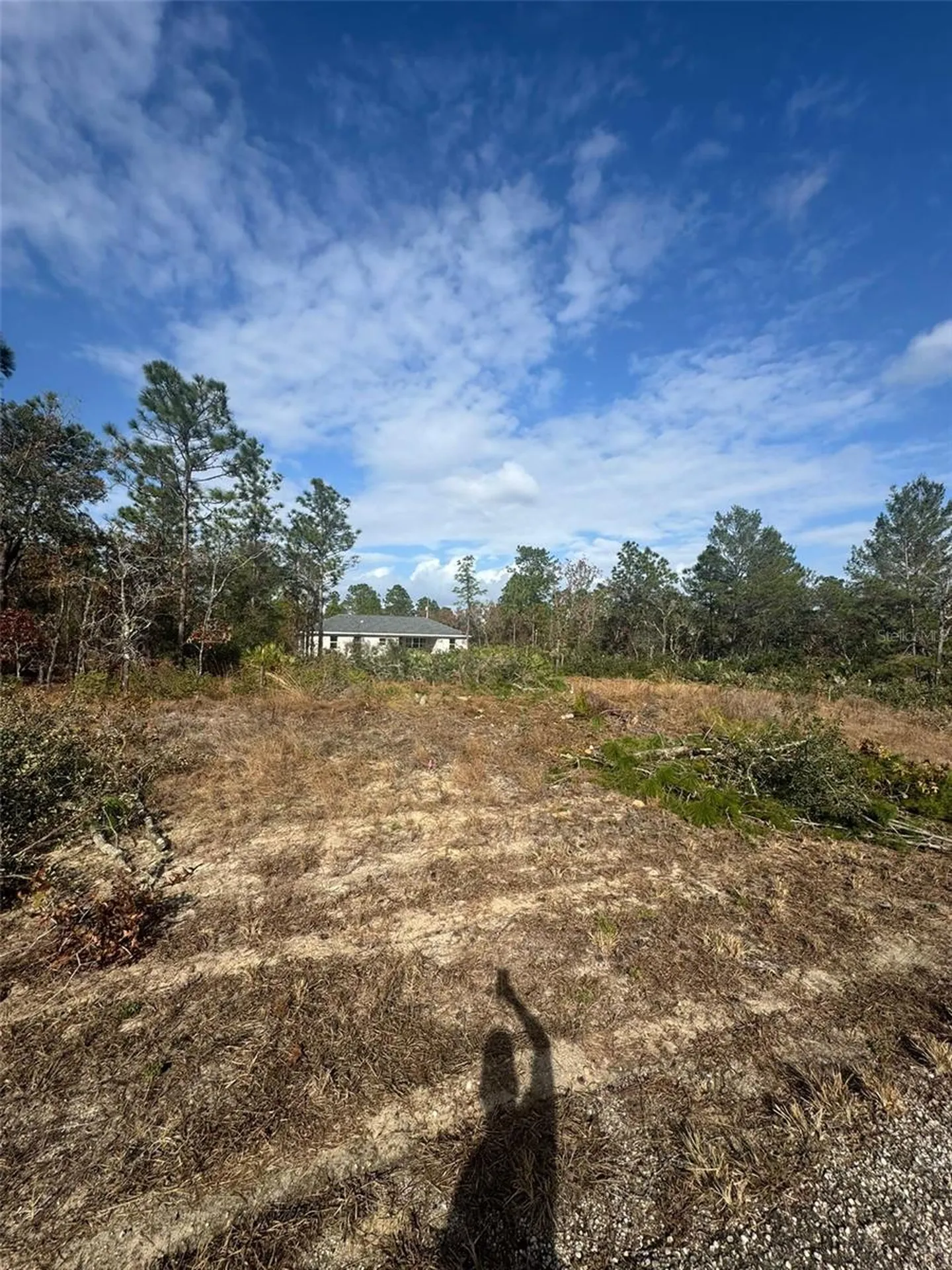 3504 W Seahorse Lane Dunnellon FL 34433
