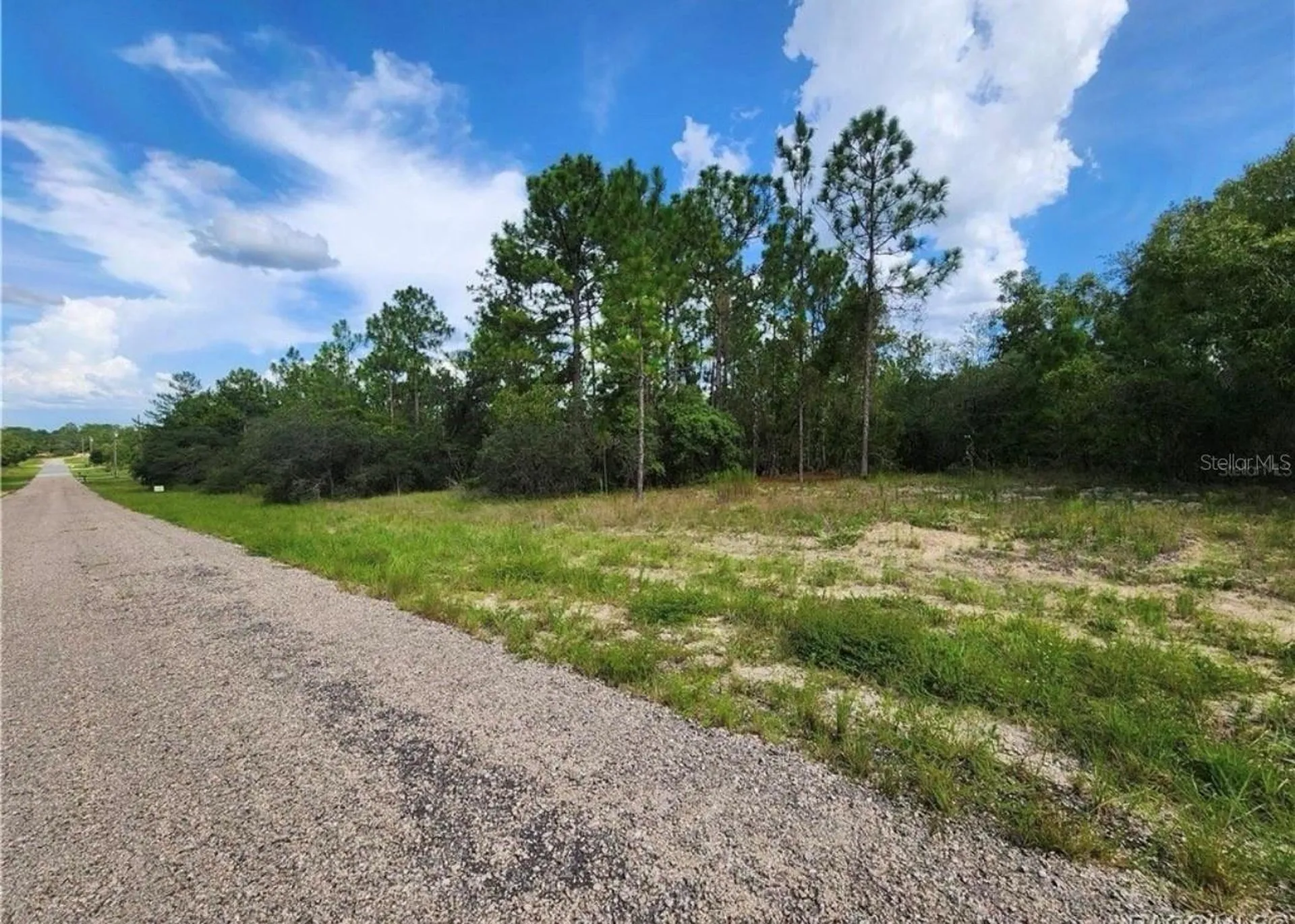 3504 W Seahorse Lane Dunnellon FL 34433
