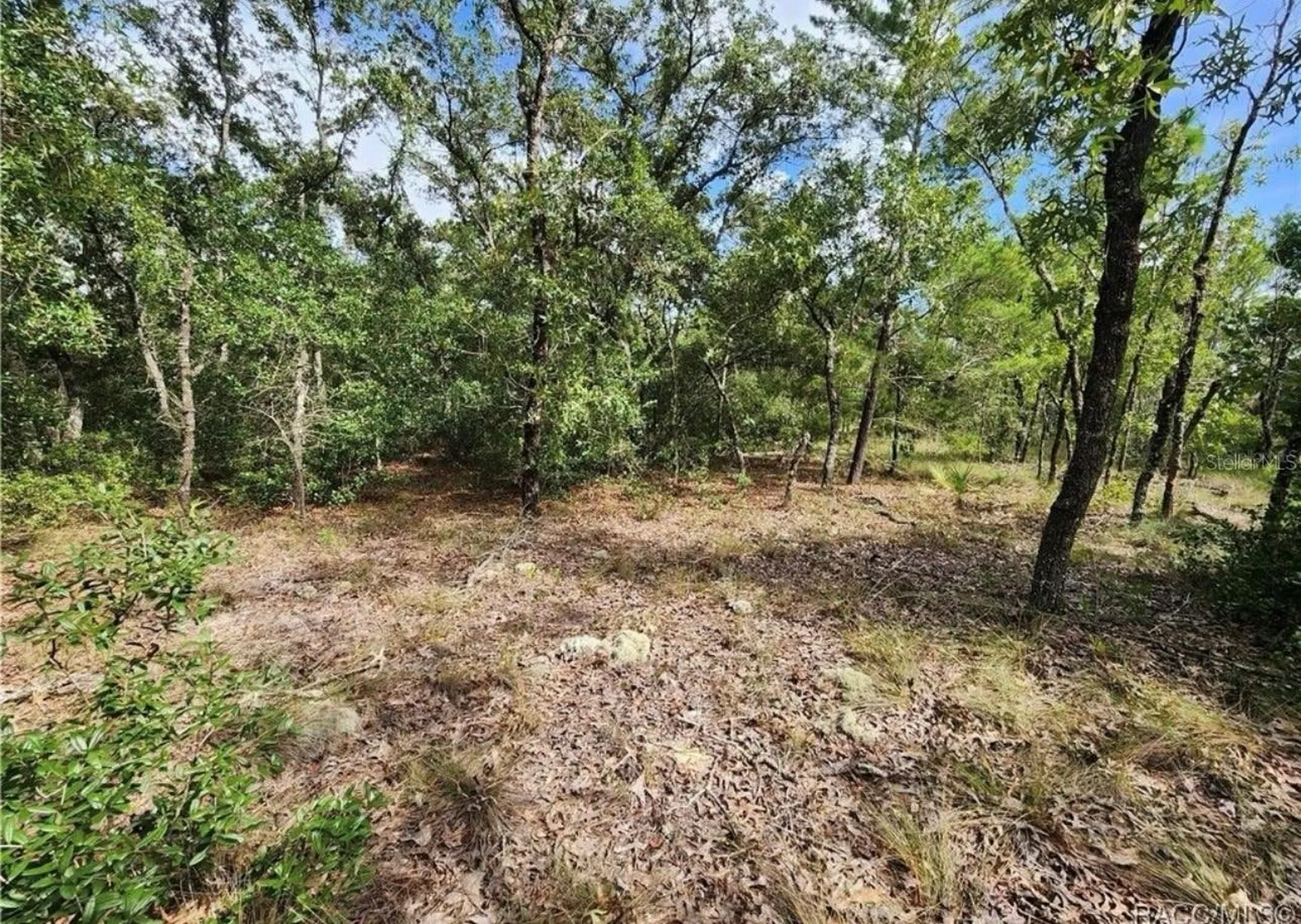 3504 W Seahorse Lane Dunnellon FL 34433