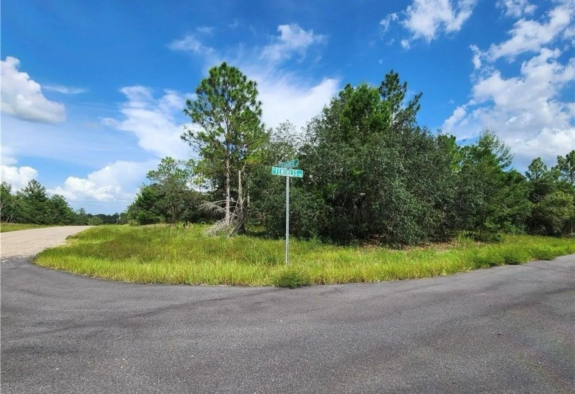 3504 W Seahorse Lane Dunnellon FL 34433