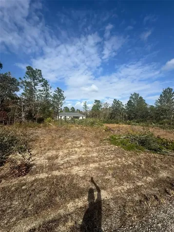 3504 W Seahorse Lane Dunnellon FL 34433