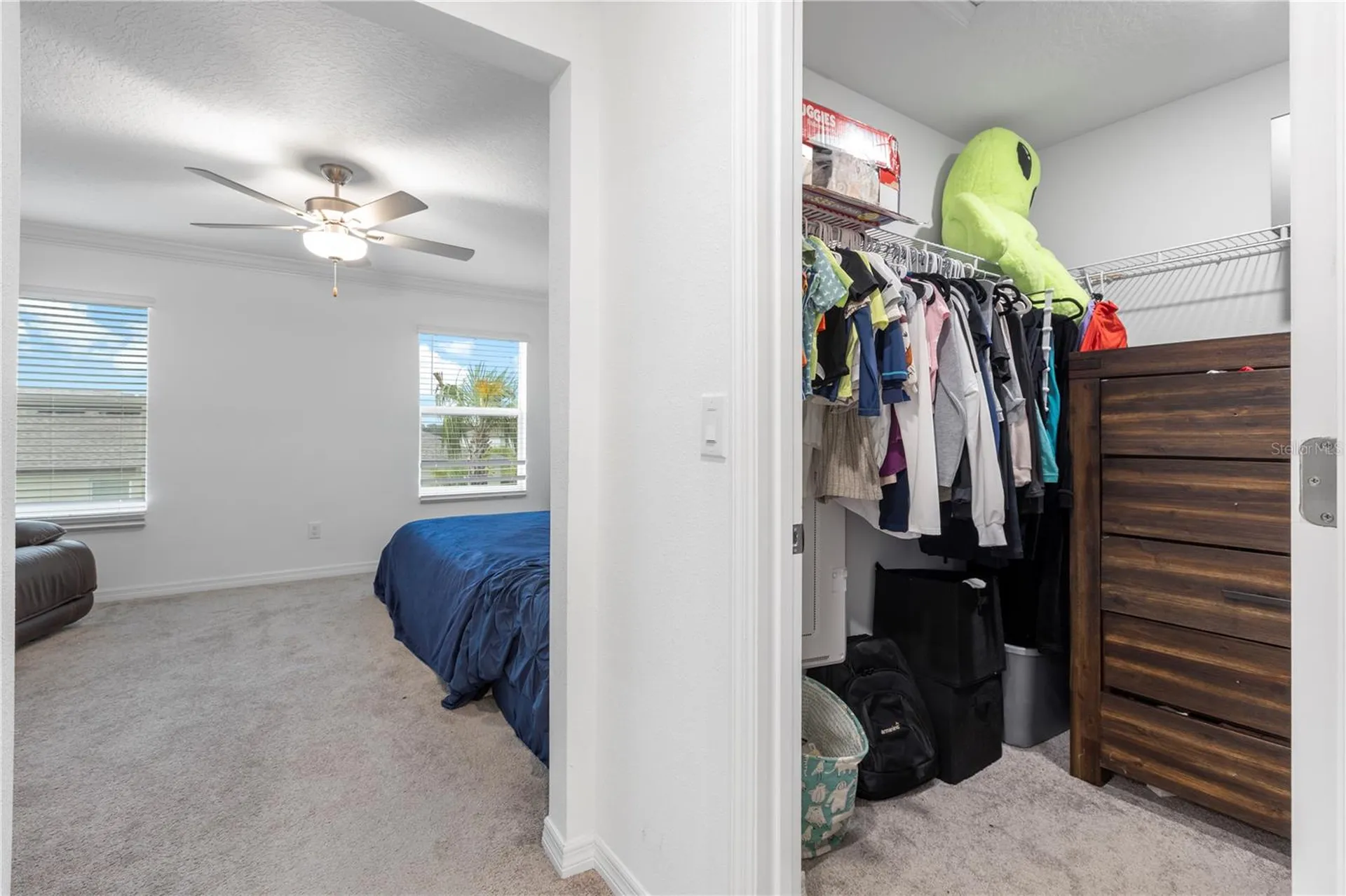 36515 Camp Fire Terrace Zephyrhills FL 33541