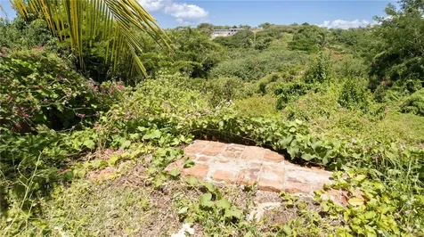 151 Los Caobos Vieques PR 00765