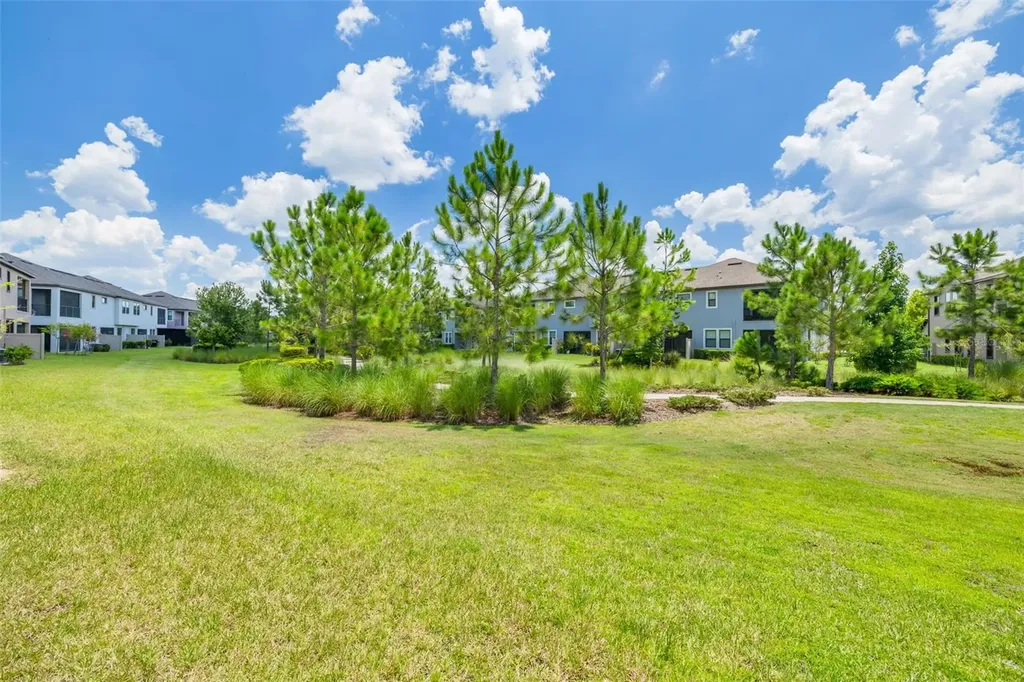 5005 San Martino Drive Wesley Chapel FL 33543