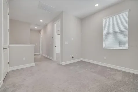 5005 San Martino Drive Wesley Chapel FL 33543