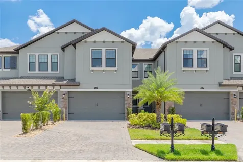 5005 San Martino Drive Wesley Chapel FL 33543