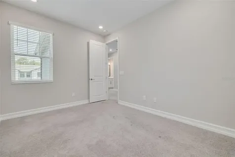 5005 San Martino Drive Wesley Chapel FL 33543