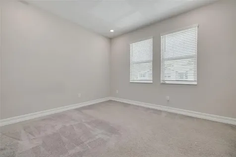 5005 San Martino Drive Wesley Chapel FL 33543