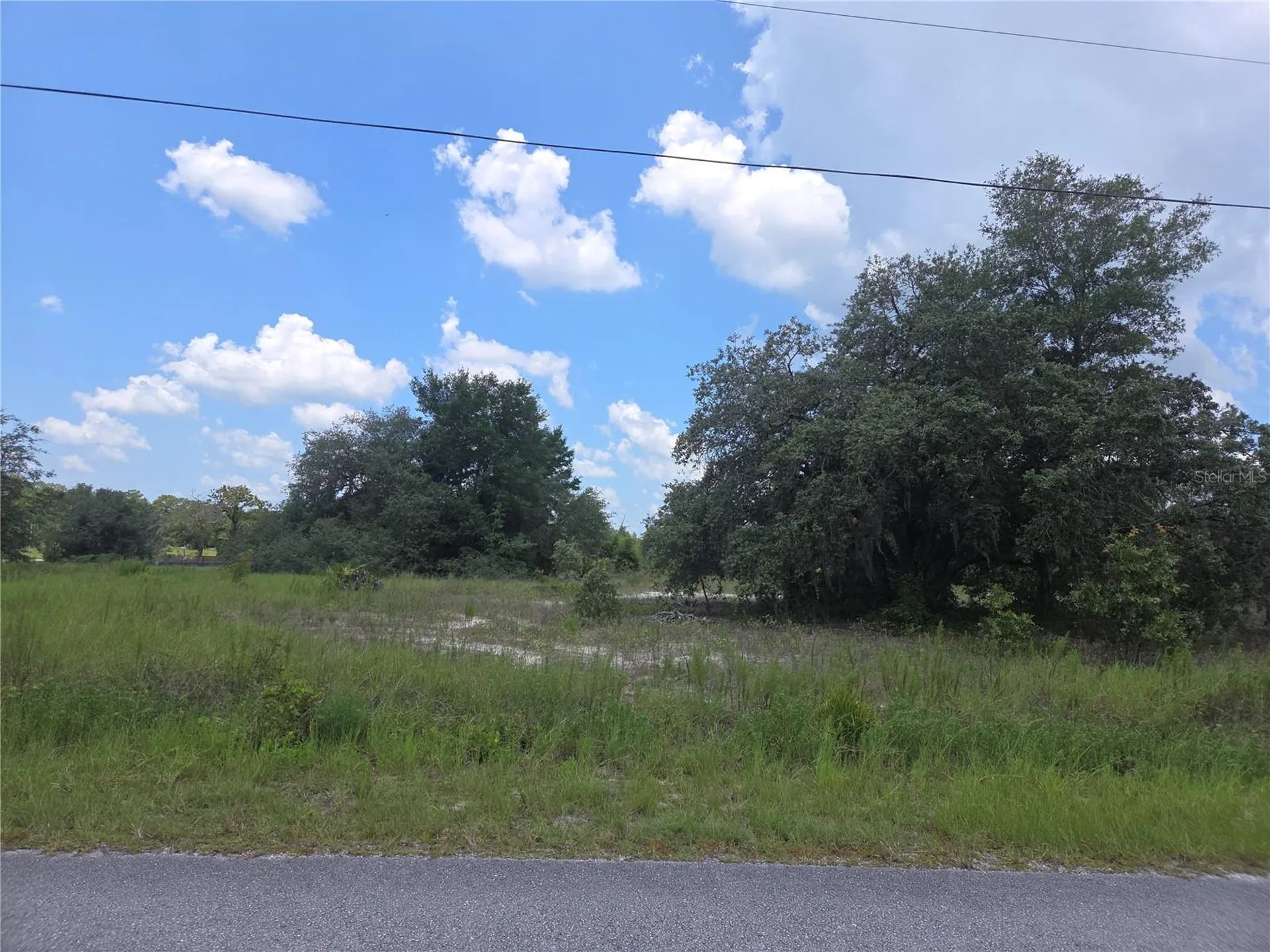 Lot 14 SW Viola Court Dunnellon FL 34431