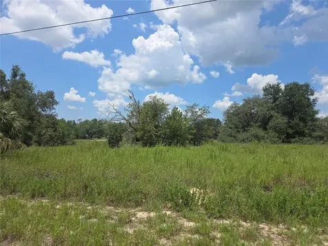 Lot 14 SW Viola Court Dunnellon FL 34431