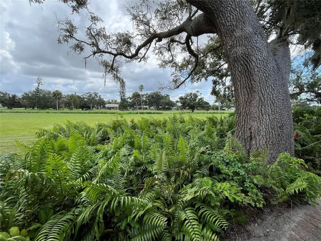 3337 Spring Mill Circle Sarasota FL 34239
