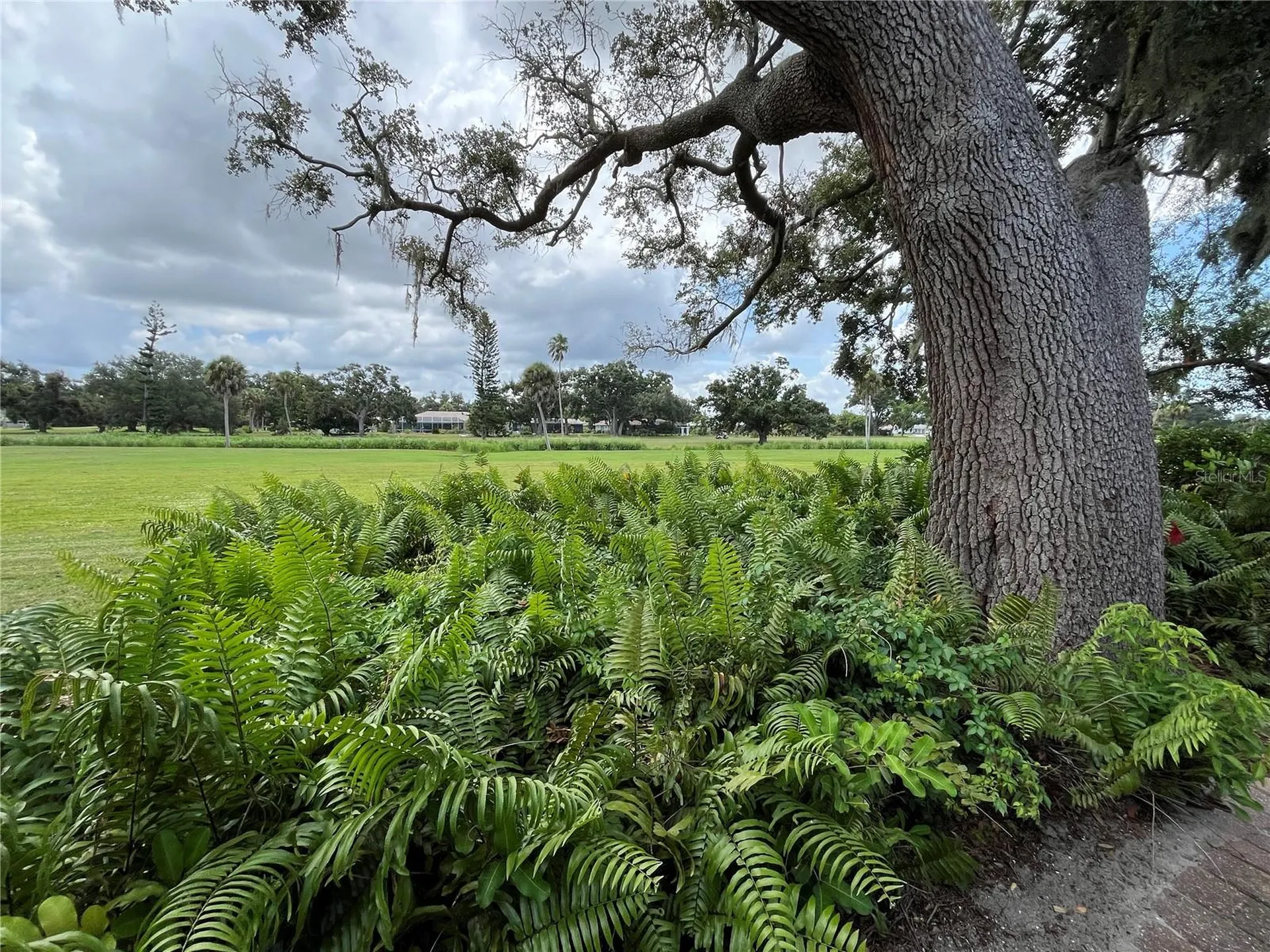 3337 Spring Mill Circle Sarasota FL 34239