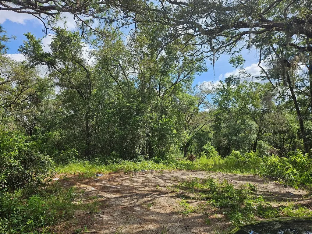 Us Highway 41 Spring Hill FL 34610