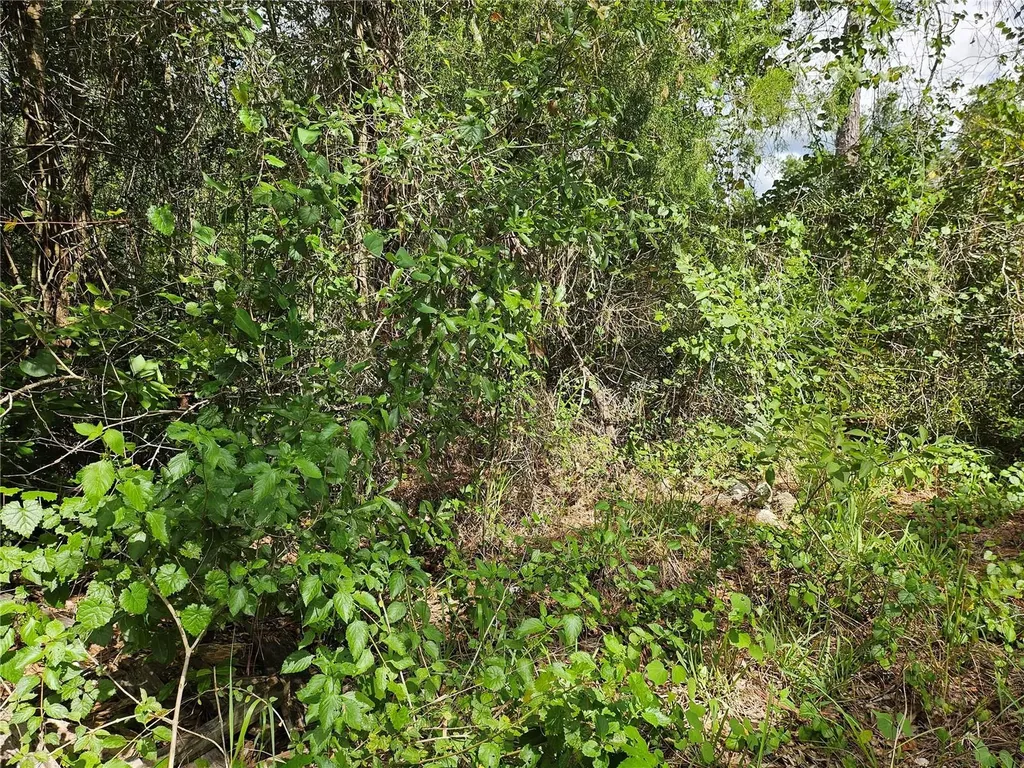 Us Highway 41 Spring Hill FL 34610