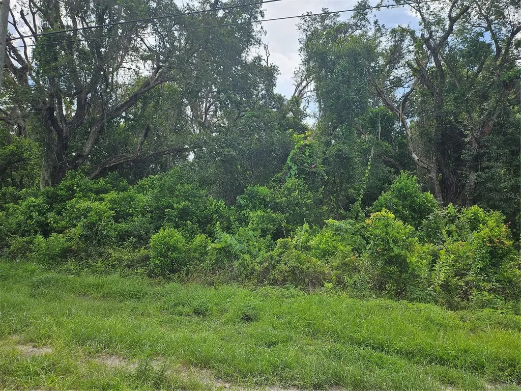 Us Highway 41 Spring Hill FL 34610
