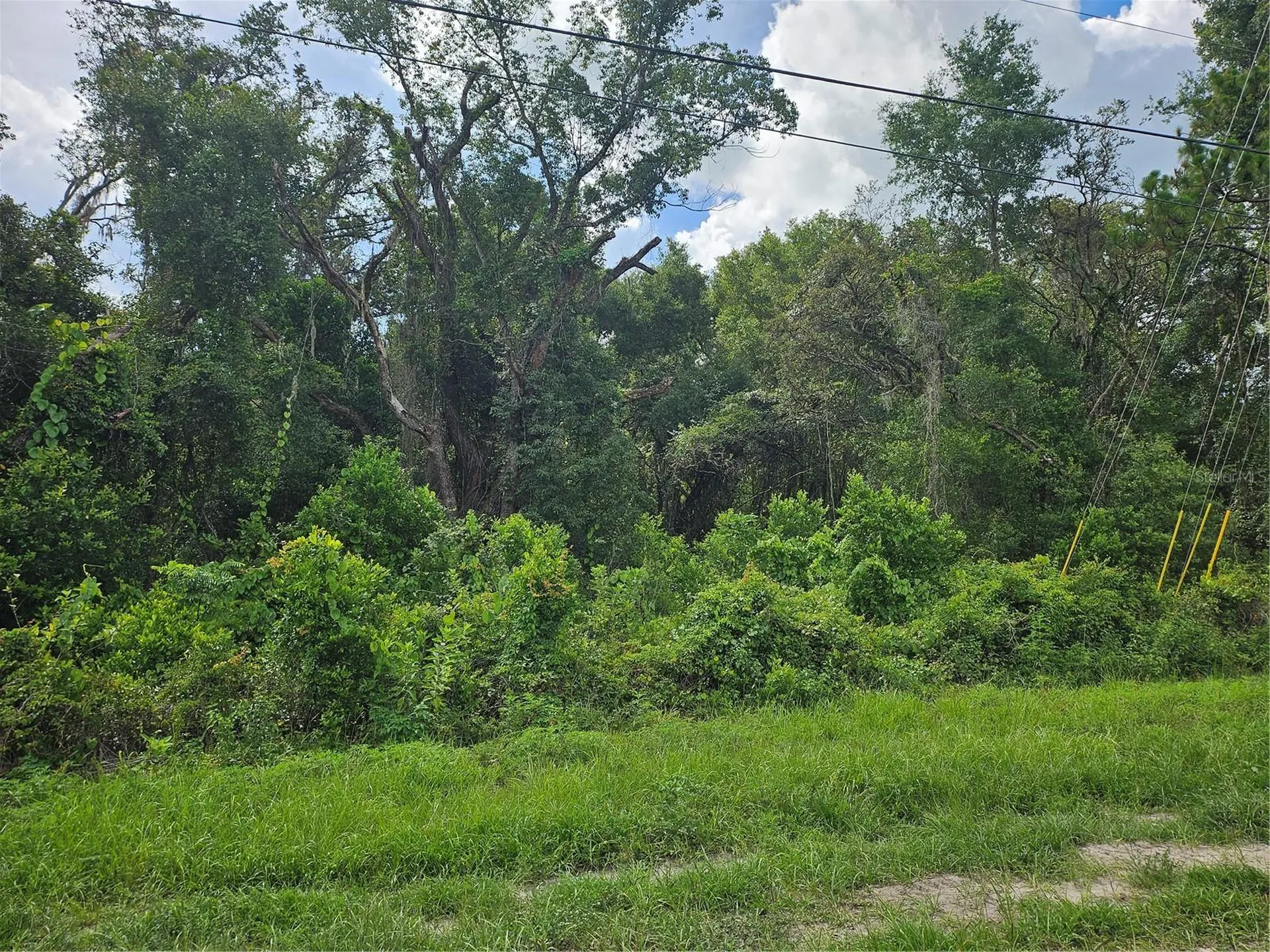 Us Highway 41 Spring Hill FL 34610