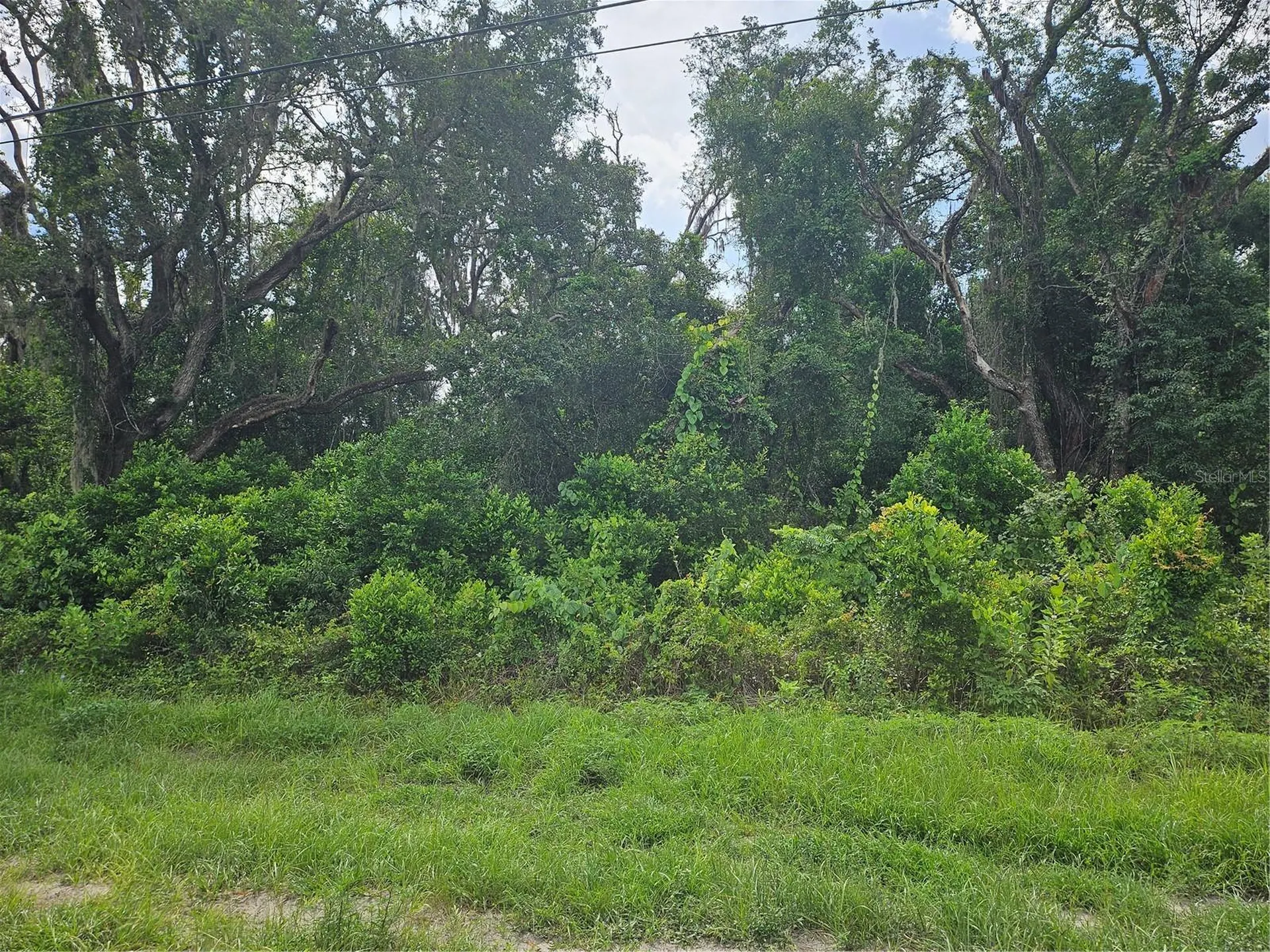 Us Highway 41 Spring Hill FL 34610