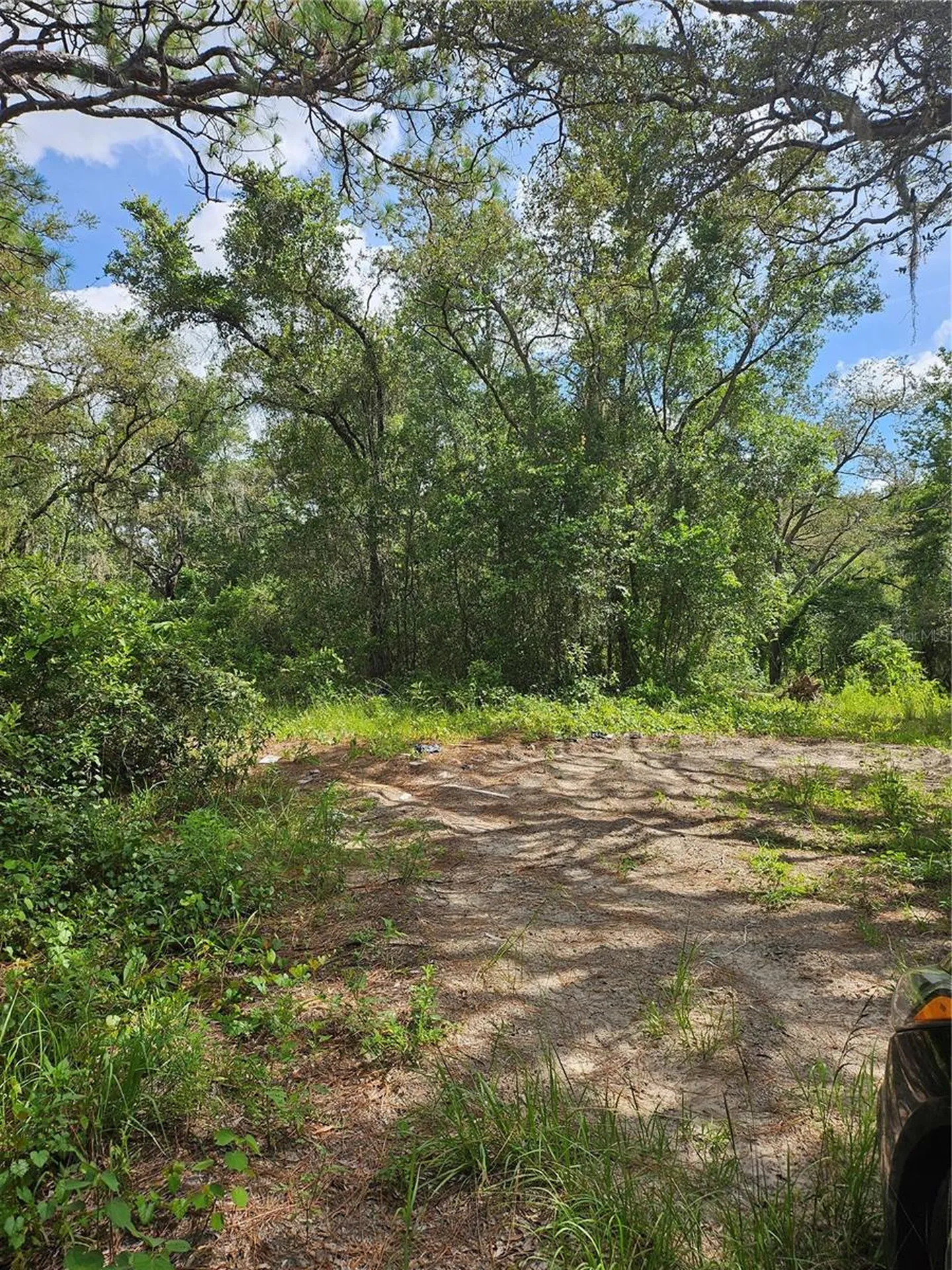 Us Highway 41 Spring Hill FL 34610