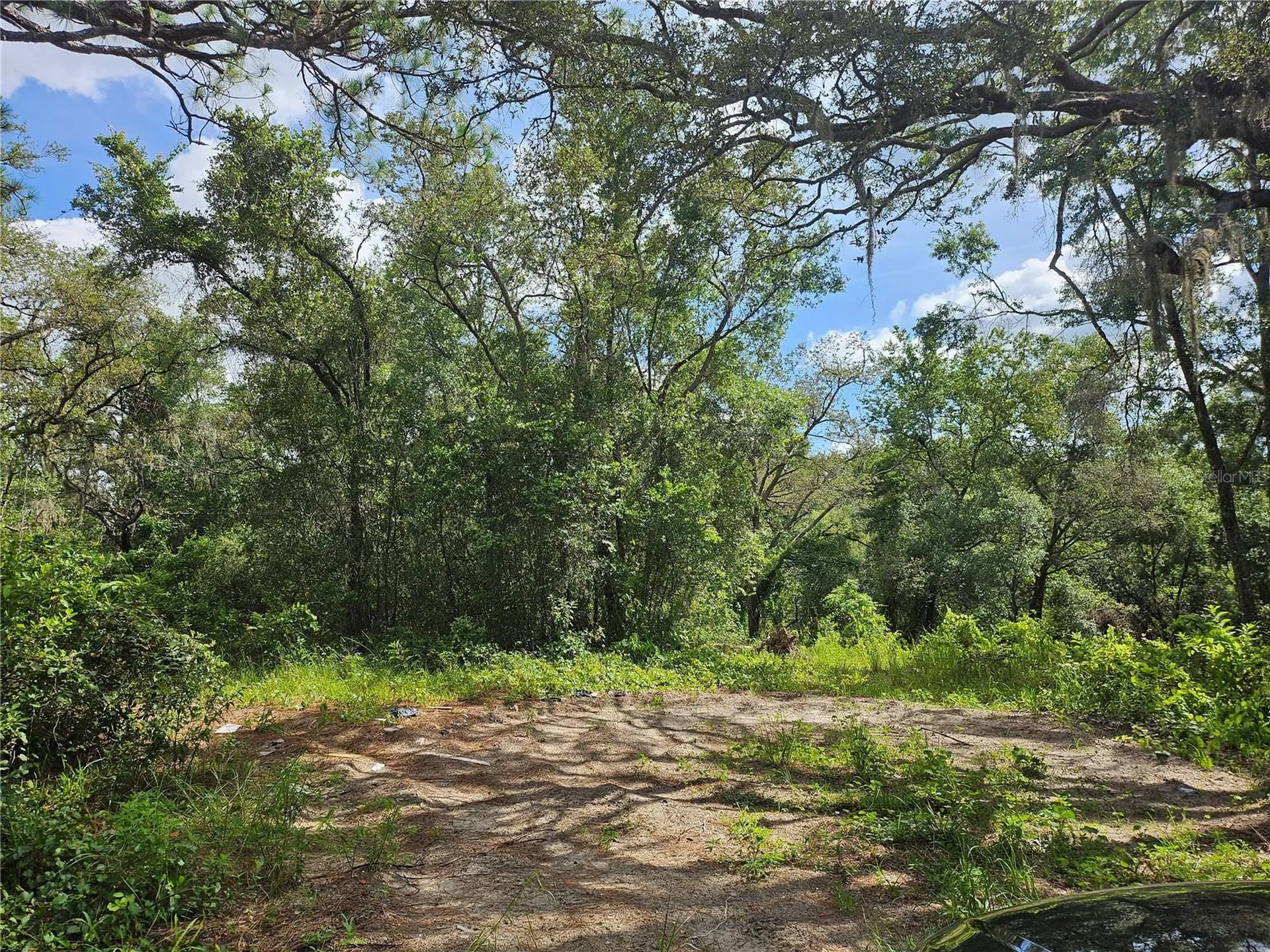 Us Highway 41 Spring Hill FL 34610