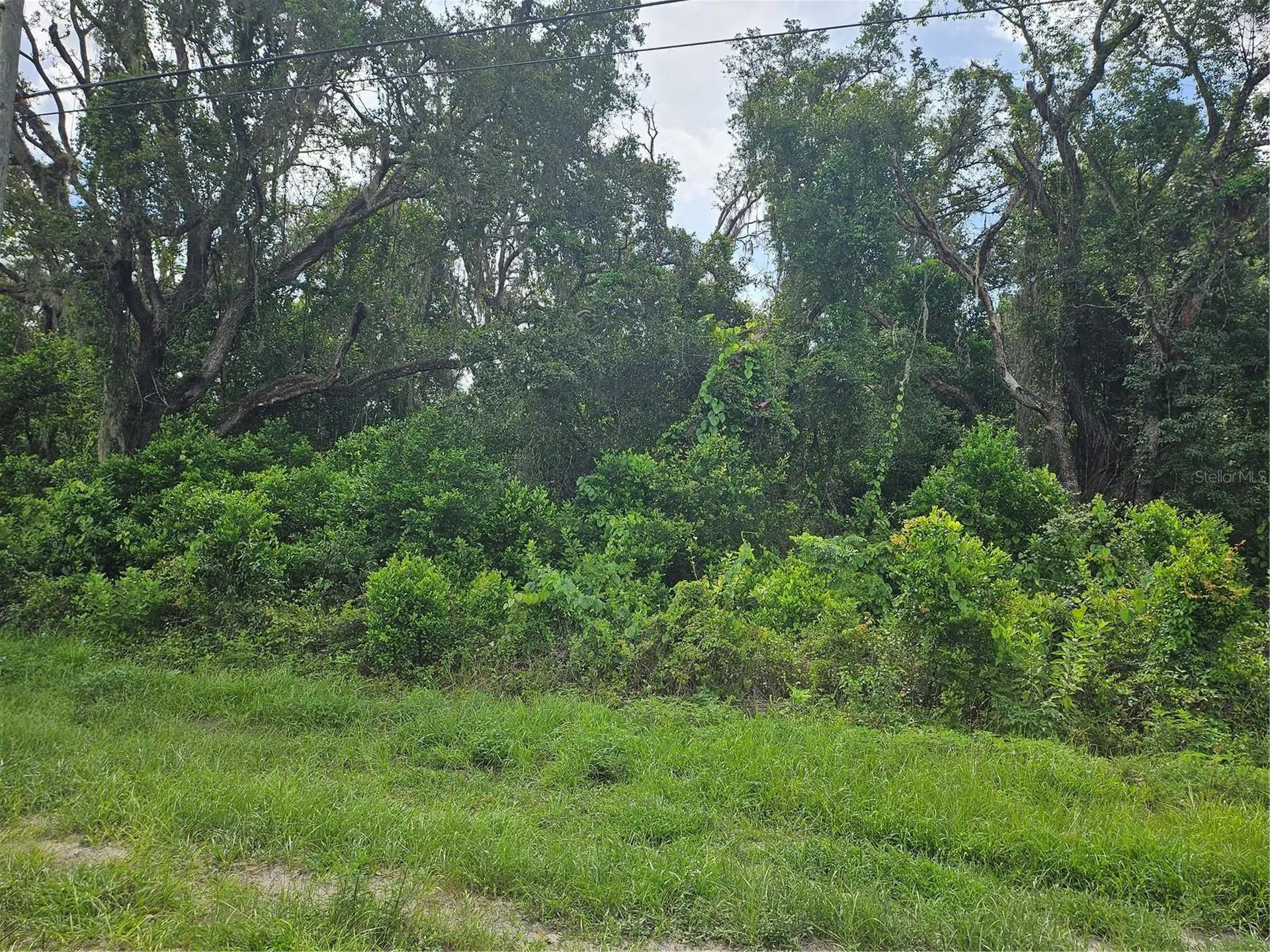 Us Highway 41 Spring Hill FL 34610